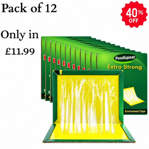 12x extra strong - 12x,