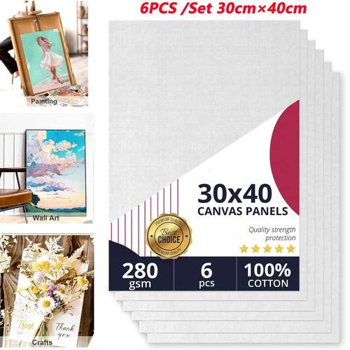 6pcs blank canvas - blank,