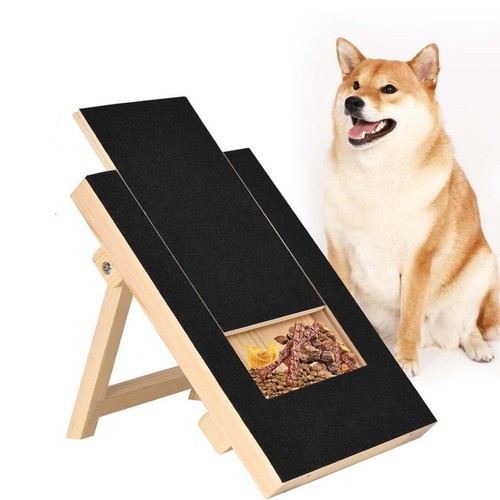 Dog nail scratch - dog,